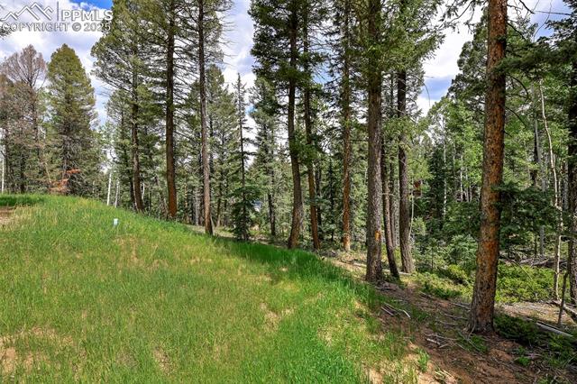 MLS Image for 29  Dusti  ,Florissant, Colorado