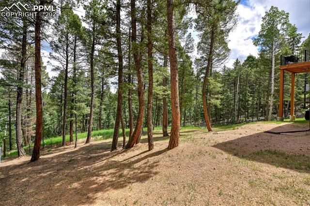 MLS Image for 29  Dusti  ,Florissant, Colorado