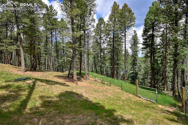 MLS Image for 29  Dusti  ,Florissant, Colorado