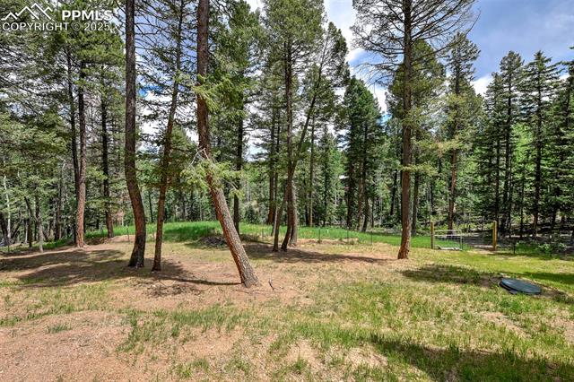 MLS Image for 29  Dusti  ,Florissant, Colorado