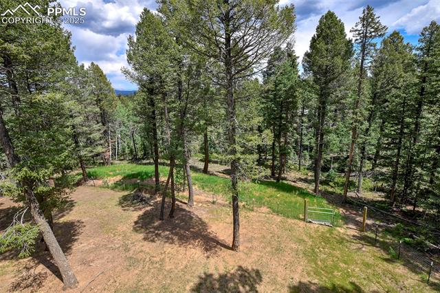 MLS Image for 29  Dusti  ,Florissant, Colorado