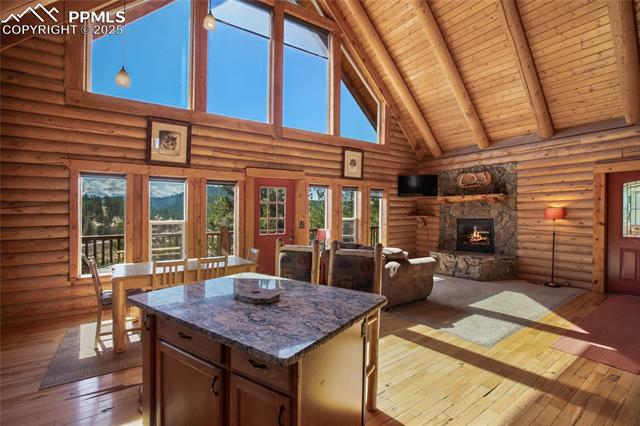 MLS Image for 876  Obsidian  ,Florissant, Colorado