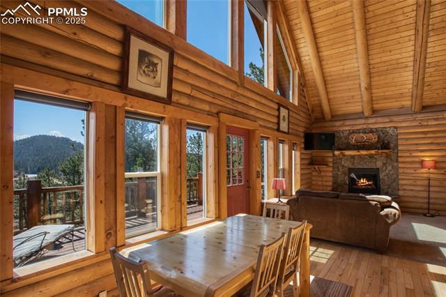 MLS Image for 876  Obsidian  ,Florissant, Colorado
