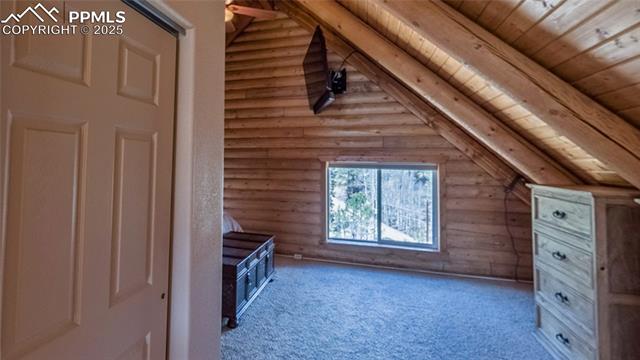 MLS Image for 876  Obsidian  ,Florissant, Colorado