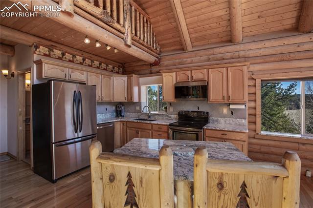 MLS Image for 876  Obsidian  ,Florissant, Colorado