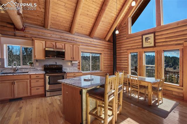 MLS Image for 876  Obsidian  ,Florissant, Colorado