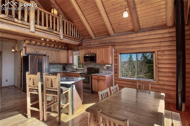 MLS Image for 876  Obsidian  ,Florissant, Colorado