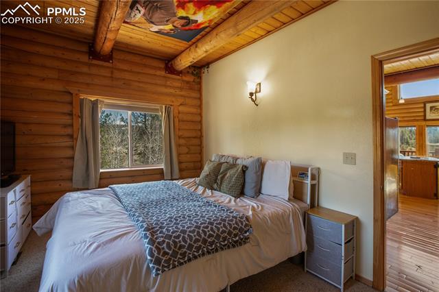 MLS Image for 876  Obsidian  ,Florissant, Colorado