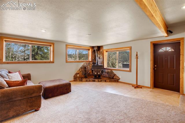 MLS Image for 876  Obsidian  ,Florissant, Colorado
