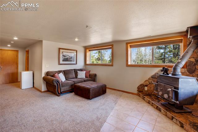 MLS Image for 876  Obsidian  ,Florissant, Colorado