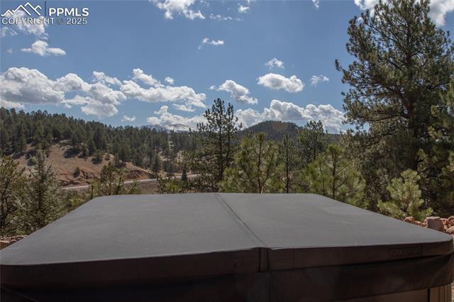 MLS Image for 876  Obsidian  ,Florissant, Colorado