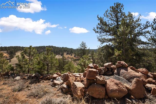MLS Image for 876  Obsidian  ,Florissant, Colorado