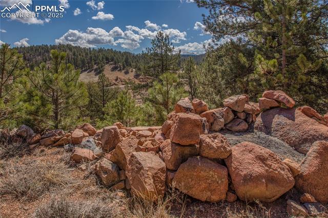 MLS Image for 876  Obsidian  ,Florissant, Colorado