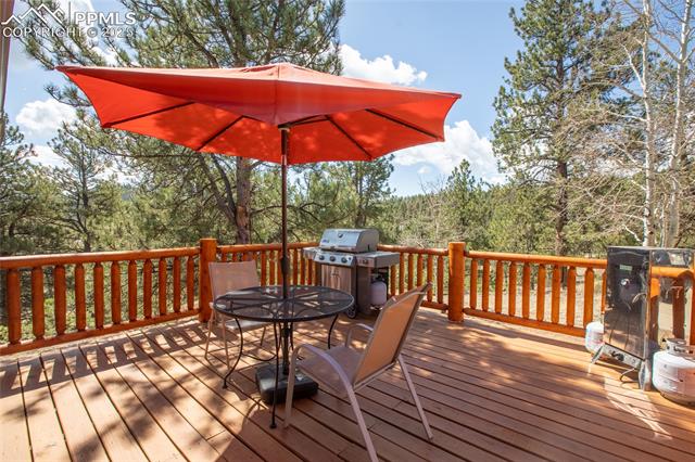 MLS Image for 876  Obsidian  ,Florissant, Colorado