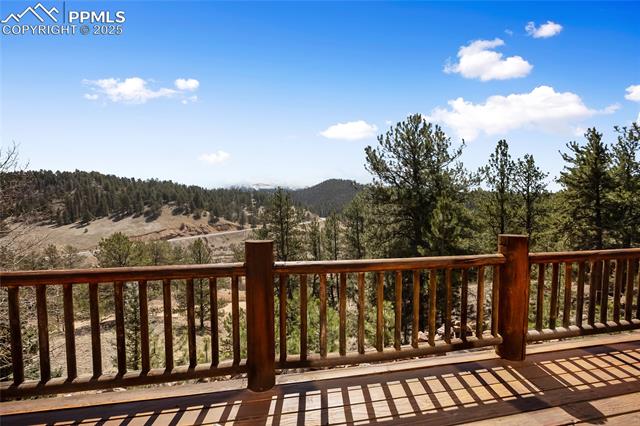 MLS Image for 876  Obsidian  ,Florissant, Colorado