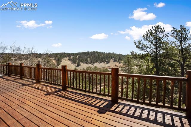 MLS Image for 876  Obsidian  ,Florissant, Colorado