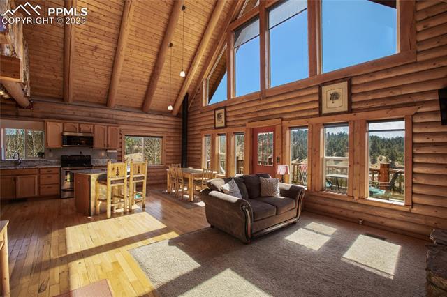 MLS Image for 876  Obsidian  ,Florissant, Colorado