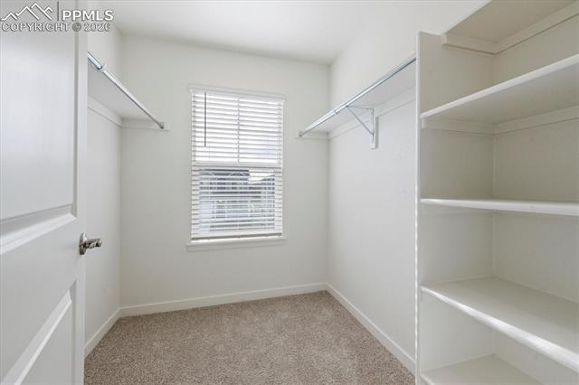 MLS Image for 11759  Foraker  ,Colorado Springs, Colorado