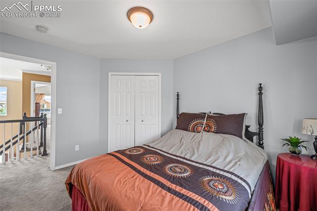 MLS Image for 4013  Pronghorn Meadows  ,Colorado Springs, Colorado
