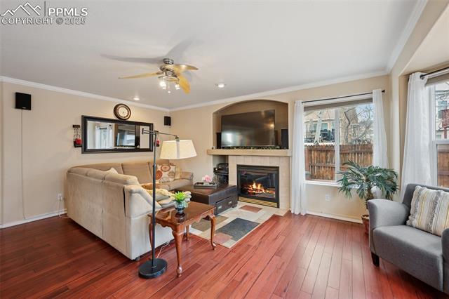 MLS Image for 4013  Pronghorn Meadows  ,Colorado Springs, Colorado