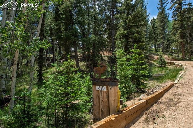 MLS Image for 219  Granby Lake  ,Divide, Colorado