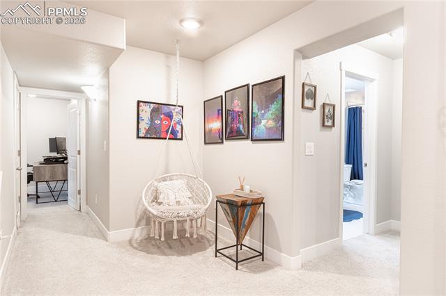 MLS Image for 8889  Bittercress  ,Colorado Springs, Colorado