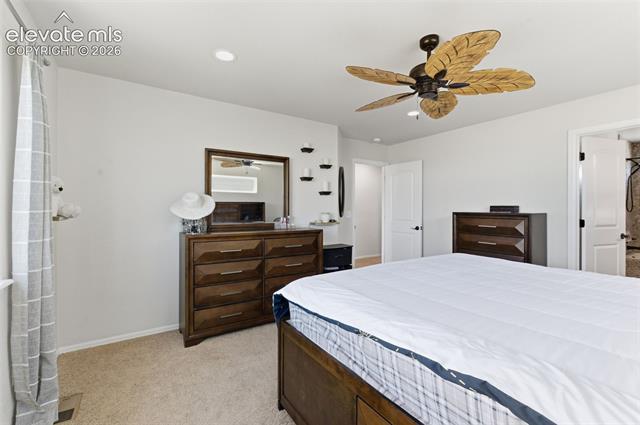 MLS Image for 6149  San Mateo  ,Colorado Springs, Colorado