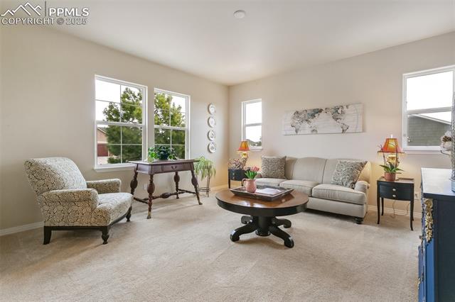 MLS Image for 11051  Spotswood  ,Peyton, Colorado