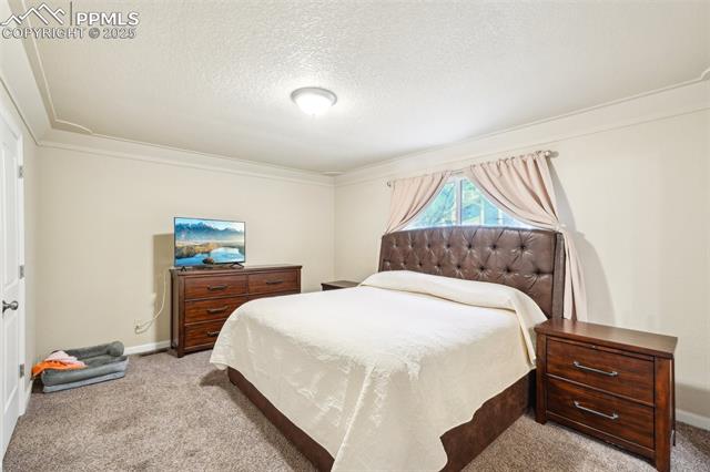 MLS Image for 5435  Setters  ,Colorado Springs, Colorado
