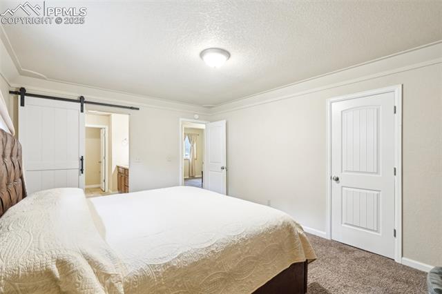 MLS Image for 5435  Setters  ,Colorado Springs, Colorado