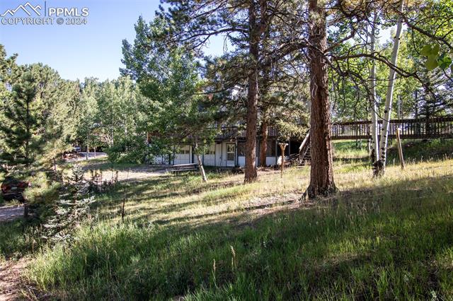 MLS Image for 21  Valley  ,Woodland Park, Colorado