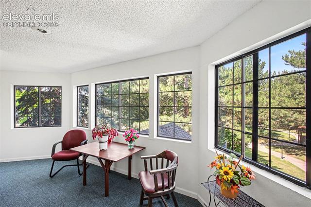 MLS Image for 2450  PALMER PARK  206 ,Colorado Springs, Colorado