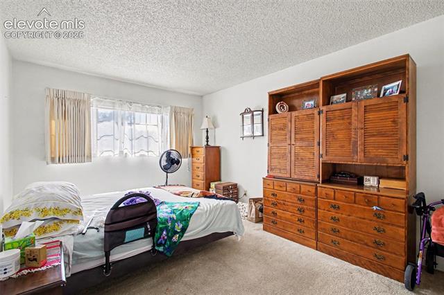 MLS Image for 2450  PALMER PARK  206 ,Colorado Springs, Colorado