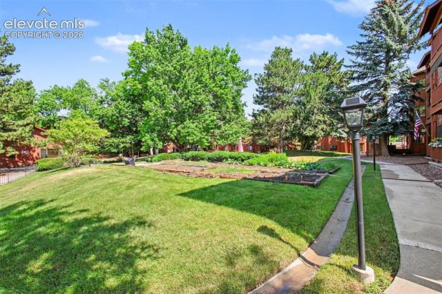 MLS Image for 2450  PALMER PARK  206 ,Colorado Springs, Colorado