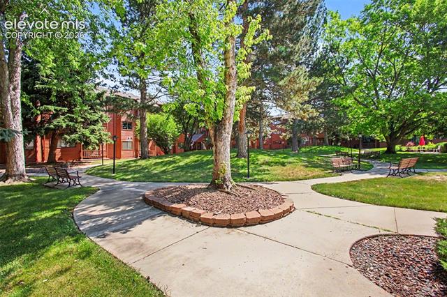 MLS Image for 2450  PALMER PARK  206 ,Colorado Springs, Colorado