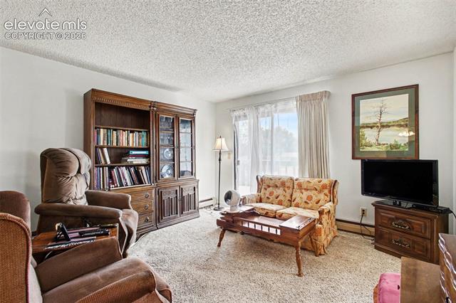 MLS Image for 2450  PALMER PARK  206 ,Colorado Springs, Colorado