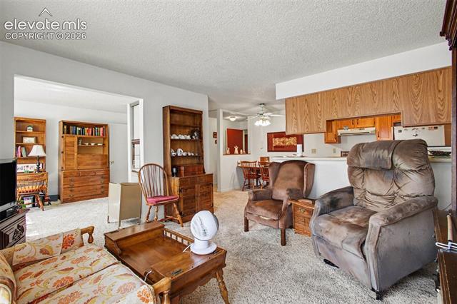 MLS Image for 2450  PALMER PARK  206 ,Colorado Springs, Colorado
