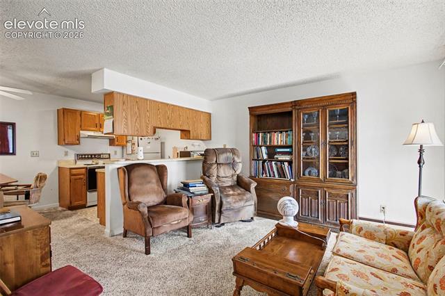 MLS Image for 2450  PALMER PARK  206 ,Colorado Springs, Colorado