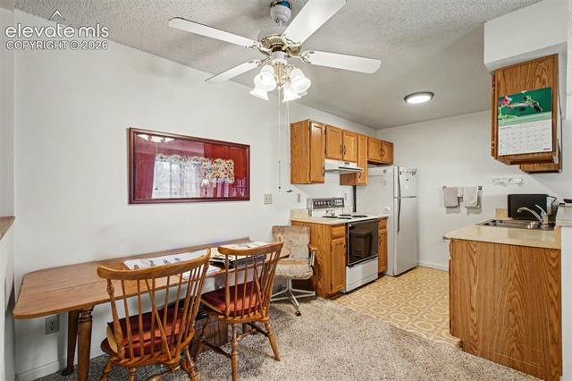 MLS Image for 2450  PALMER PARK  206 ,Colorado Springs, Colorado
