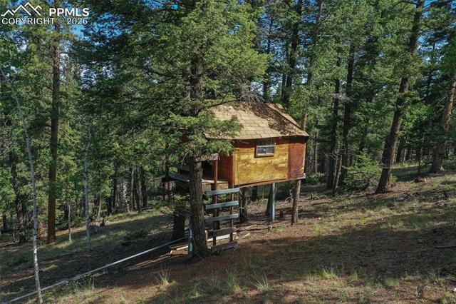 MLS Image for 377  Ridge  ,Divide, Colorado