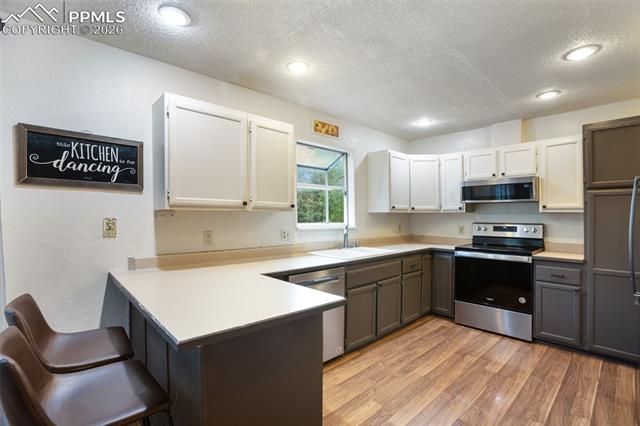 MLS Image for 377  Ridge  ,Divide, Colorado