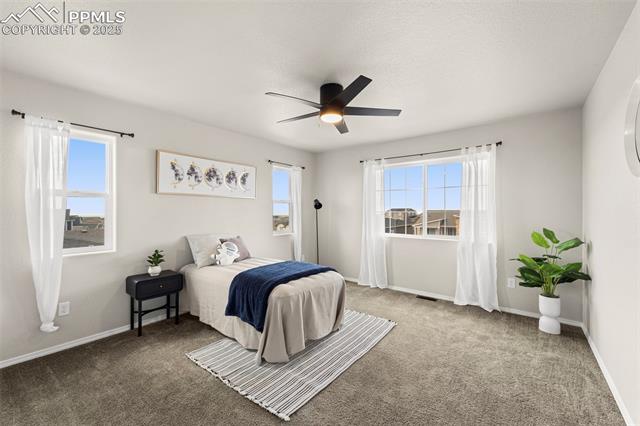 MLS Image for 9869  Meridian Hills  ,Peyton, Colorado