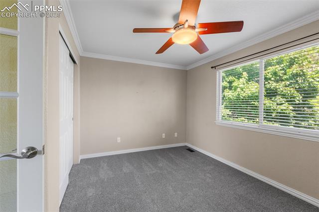 MLS Image for 6452  Borough  ,Colorado Springs, Colorado
