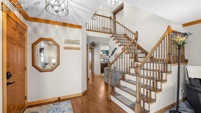 MLS Image for 15390  Paddington  ,Colorado Springs, Colorado