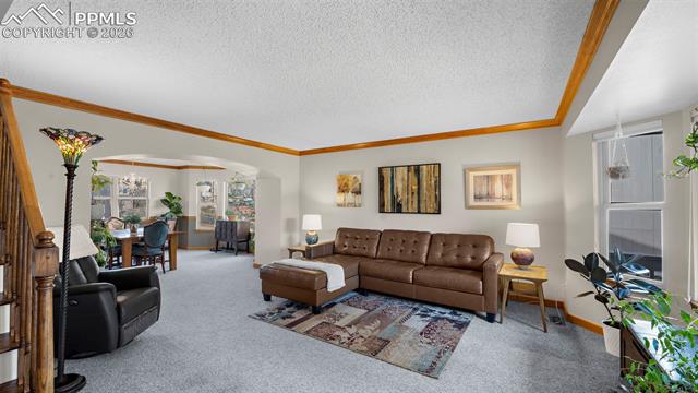 MLS Image for 15390  Paddington  ,Colorado Springs, Colorado