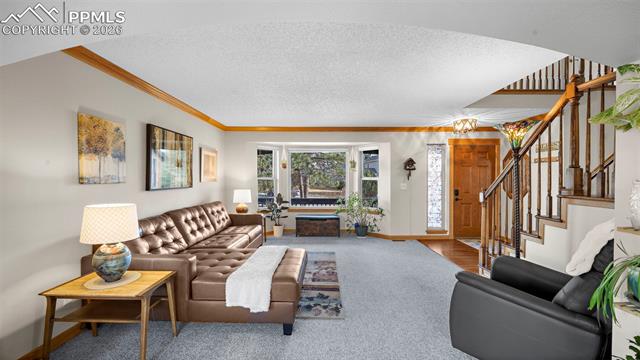 MLS Image for 15390  Paddington  ,Colorado Springs, Colorado