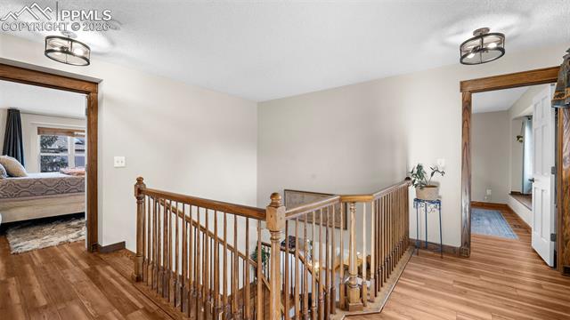 MLS Image for 15390  Paddington  ,Colorado Springs, Colorado