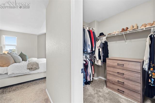 MLS Image for 10418  Silver Stirrup  ,Colorado Springs, Colorado