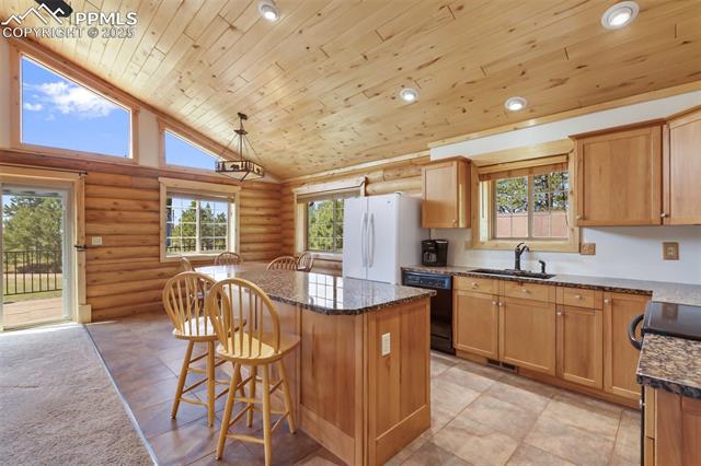 MLS Image for 73  Big Horn  ,Florissant, Colorado