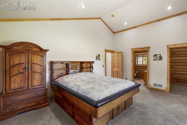 MLS Image for 73  Big Horn  ,Florissant, Colorado